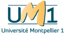Université Montpellier 1,HEM, Ecole de commerce - gestion - management, ingénieur – informatique, n°1 au Maroc 
